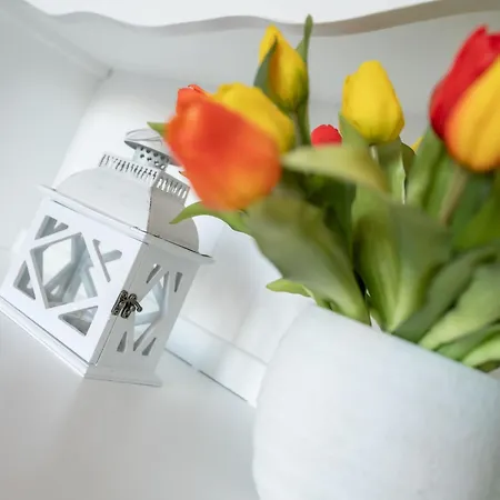 Marlene With Parking And Shared Pool By Interhome Appartamento *